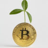 31 Flavors – From Dollars to Cryptocurrency to Stable Coins.  What’s next?  Instructor:  Dale Roskom, 3 Fridays March 6 (HH) 13 (WC3), 20(HH) at 9:00 a.m.