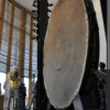 Tree-Ring Research Laboratory  Thursday, November 5 at 10:00 a.m.